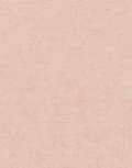 Miniatyrbild 4 av 4: Non-woven tapet 10430-23 enfärgad tapet 0,53 x 10,05 m Erismann Gentle Orange