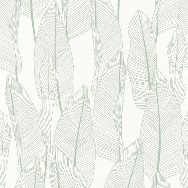 A.S. Creation Exotic Life 364971 non-woven tapet natur 0.53 m x 10.05 m grön