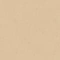 Miniatyrbild 4 av 4: Enfärgad tapet M1-No.2413 | Vinyltapet | Beige | Enfärgad