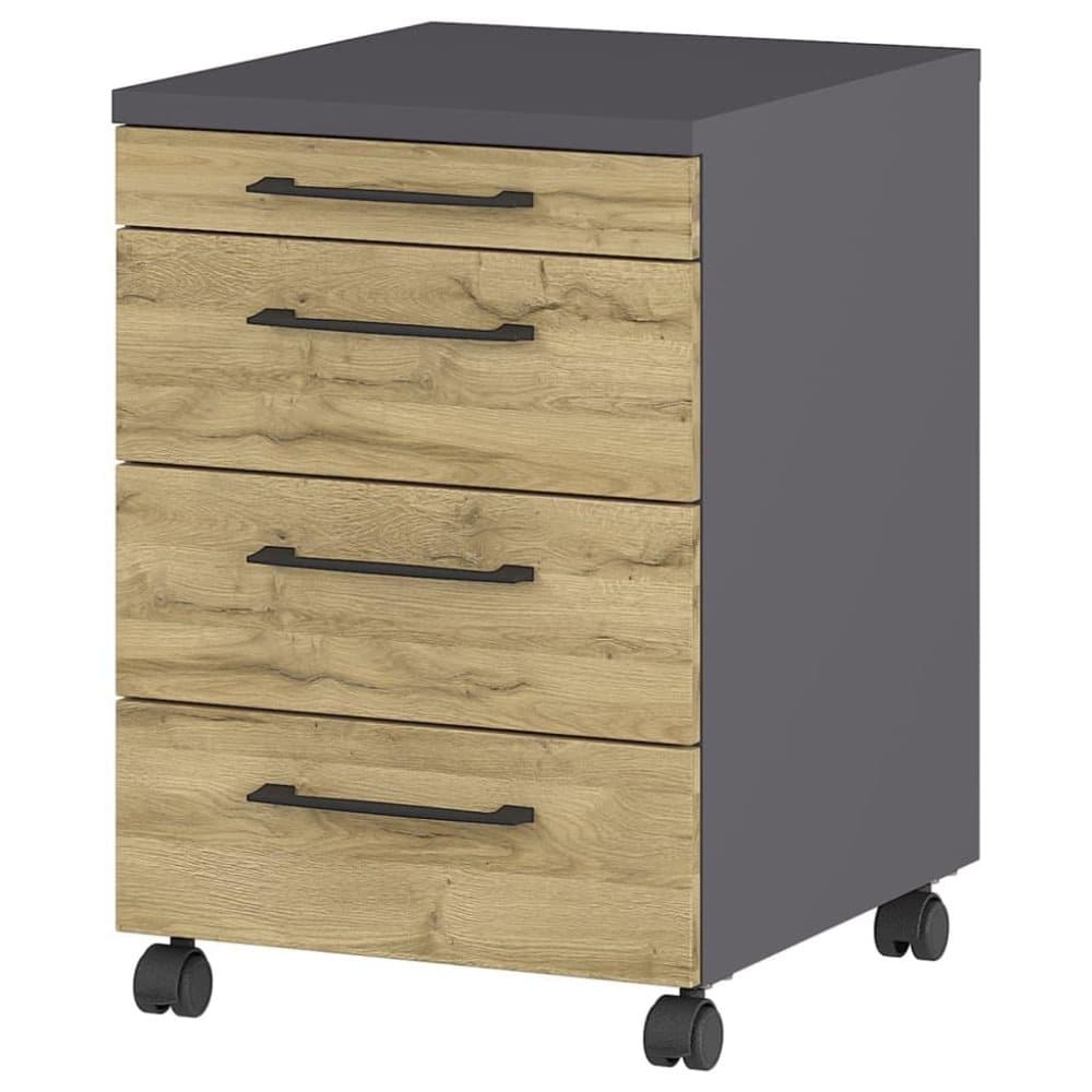 Germania Rullhurts GW-Profi 2.0 42x49x61 cm grafit och grandsonek