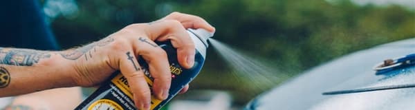 Meguiars Heavy Duty Bug & Tar Remover Hyönteisten ja tervan poistoaine