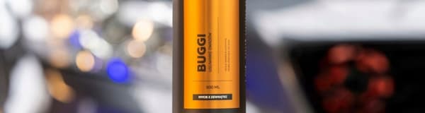 KiurLab BUGGI 0,5l hyönteisten poistoaine Autonhoitotuotteet puhdistus