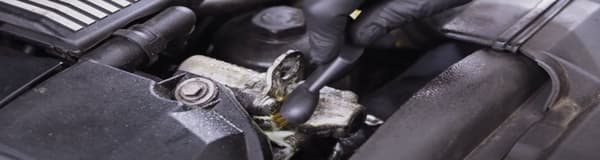 Tillbehör för att rengöra bilen ADBL Little Rascal Gold kopparborste