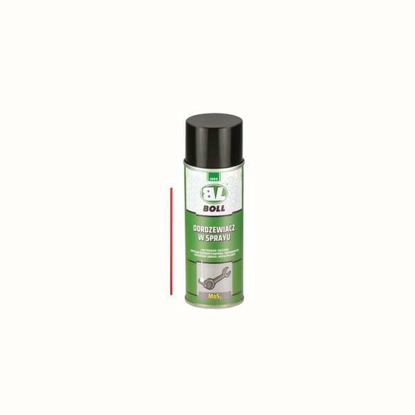 BOLL RUOSTEENPOISTOSUIHKE 200ML