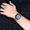 Miniatyrbild 7 av 9: Apple Watch 38/40/41 Länkarmband Metall Silver