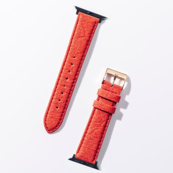 Apple Watch Klockarmband Röd - Pineapple