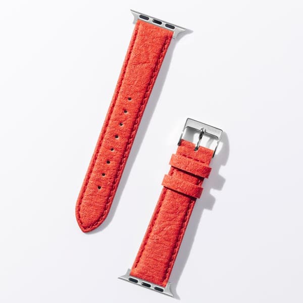 Apple Watch Klockarmband Röd - Pineapple