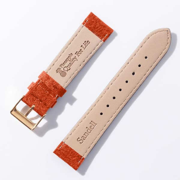 Apple Watch Klockarmband Röd - Pineapple