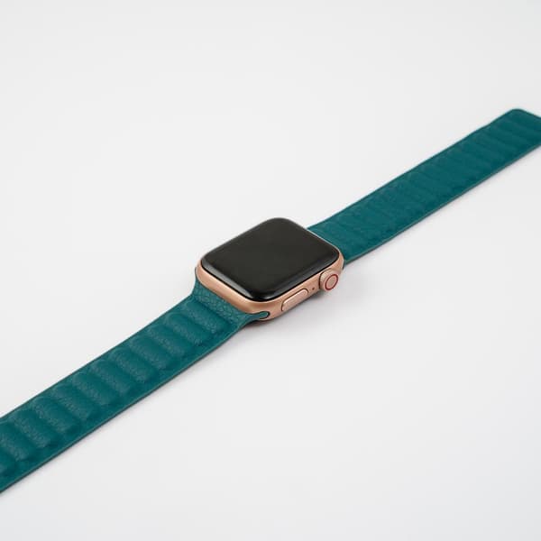 LäderWrap - Turtle till Apple Watch