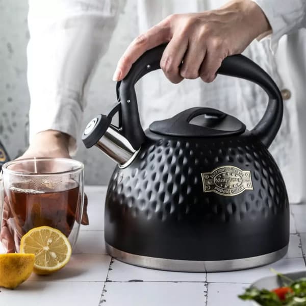 STÅLKEDEL MED FLØJTE 3L KLAUSBERG KB-7643