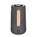 Miniatyrbillede 2 af 5: Kedel Concept RK3370 Grå Rustfrit stål 1850-2200 W 1,7 L