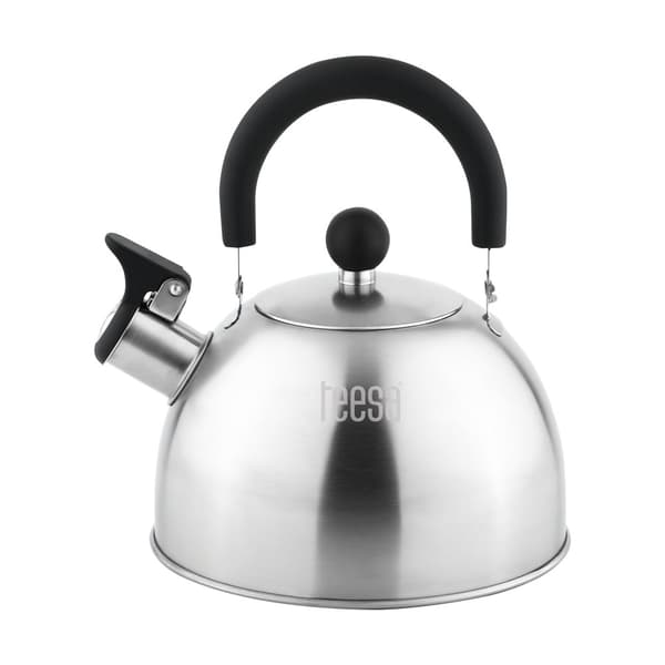 Rustfri elkedel med fløjte 1,8L