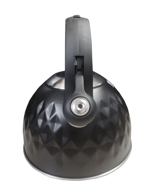 Rustfri elkedel, 3 l, med fløjte