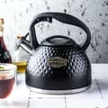 Pikkukuva 7 / 10: TERÄS VEDENKATU PIILELLÄ 3L KLAUSBERG KB-7643