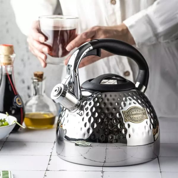 STÅLKEDEL MED FLØJTE 3L KLAUSBERG KB-7644