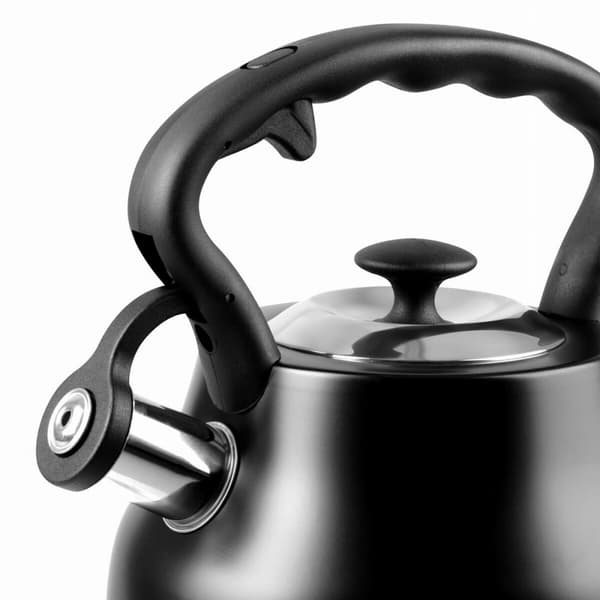 Kedel Promis TMC21C Sort Rustfrit stål 3 L