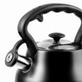 Miniatyrbillede 2 af 3: Kedel Promis TMC21C Sort Rustfrit stål 3 L