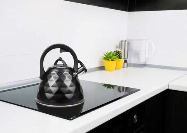 Kanna - Lovad - TMC20B LUCA - Rostfritt stål - 2,8 L - Svart