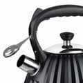 Miniatyrbillede 2 af 3: Kedel Promis TMC25  Sort Stål 3 L