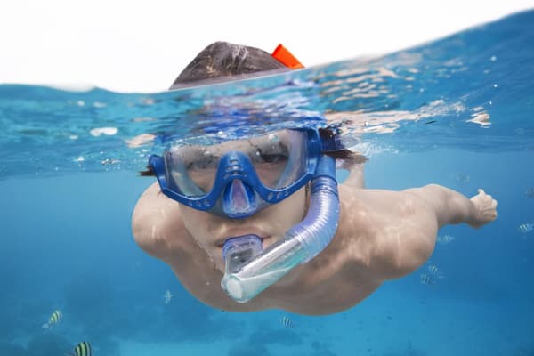 BESTWAY Hydro-Swim  Meridian Snorkel Set, 25020