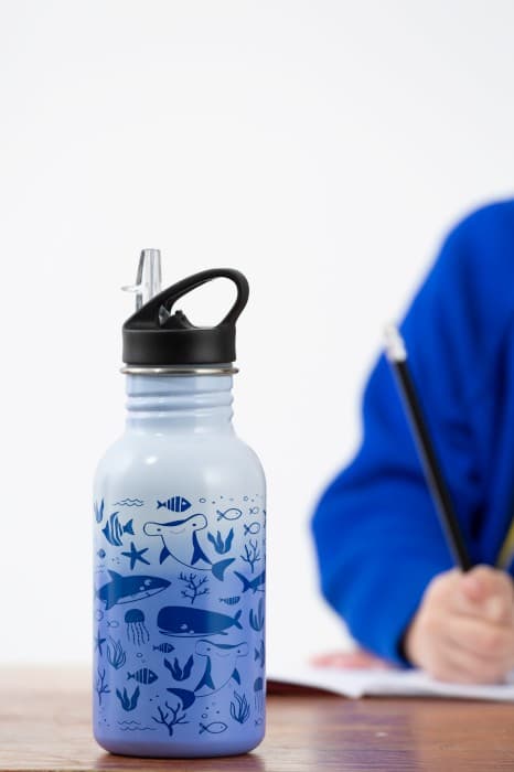 TYP - Termoaktiv flaska 550ml. SeaLife presentförpackning