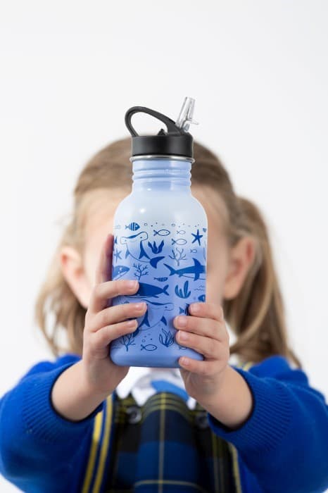TYP - Termoaktiv flaska 550ml. SeaLife presentförpackning