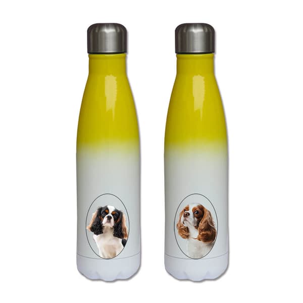 Koira Cavalier King Charles Spaniel Vesipullo, termospullo