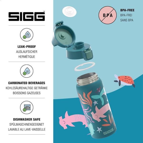 Gourde - bidon - flask isotherm Sigg - 6022.90