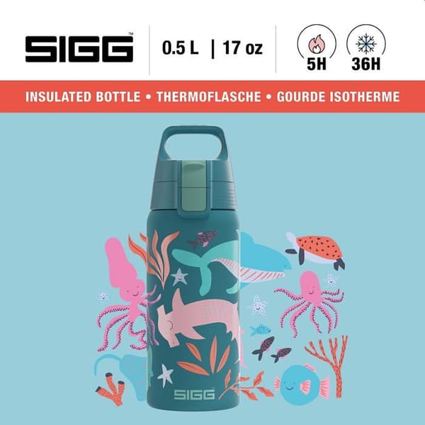 Gourde - bidon - flask isotherm Sigg - 6022.90