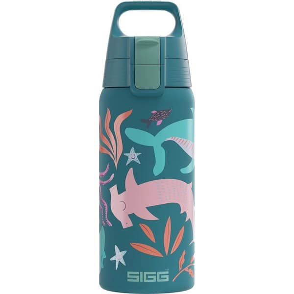 Gourde - bidon - flask isotherm Sigg - 6022.90