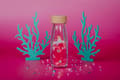 Miniatyrbild 3 av 4: Sensorisk flaska - PETIT BOUM - Move Étincelle de Mer - Rosa - Bebis - Flicka