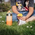Pikkukuva 2 / 2: QuokkaBoostCoffeeTumbler-Ruostumattomastateräksestävalmistettulämpömukihauduttimella400ml(Aprikoosiappelsiini)