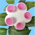 Miniatyrbilde 3 av 4: INF Silikon Blomst Bie Vannmater - Sett med 5, Blandede Farger Rosa