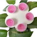 Miniatyrbilde 1 av 4: INF Silikon Blomst Bie Vannmater - Sett med 5, Blandede Farger Rosa