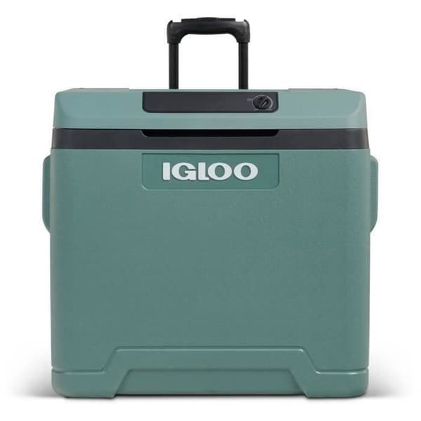 Elektrisk kylbox - IGLOO - 12 V - 230 V - Gran - 42 L