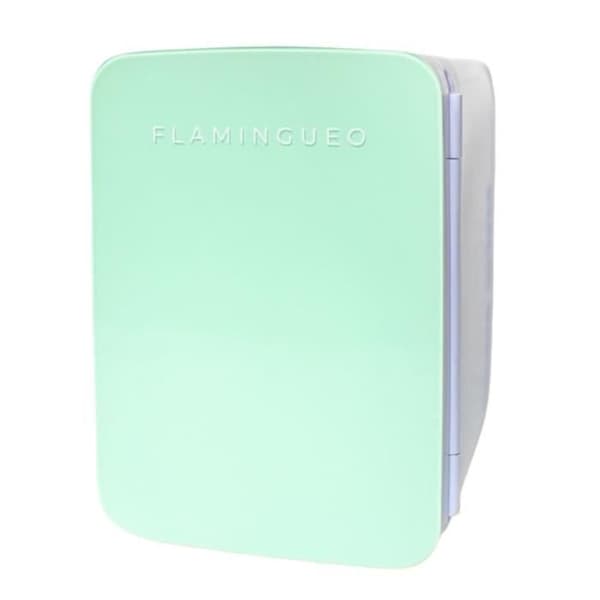 Flamingueo 10L Mini Kylskåp, 12V/220V Elektriskt Mini Kylskåp, Varm/Kall funktion, Kosmetisk Kylskåp - Grön