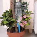Miniatyrbillede 1 af 8: Selvvandende PET-flaske Potteplanter - Pakke med 4 stk.