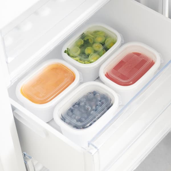 ROTHO Freeze - frysbehållare - 4x500ml