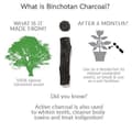 Miniatyrbild 3 av 4: SVART + BLUM Kolvattenfilter 4 stycken, Binchotan EGS004