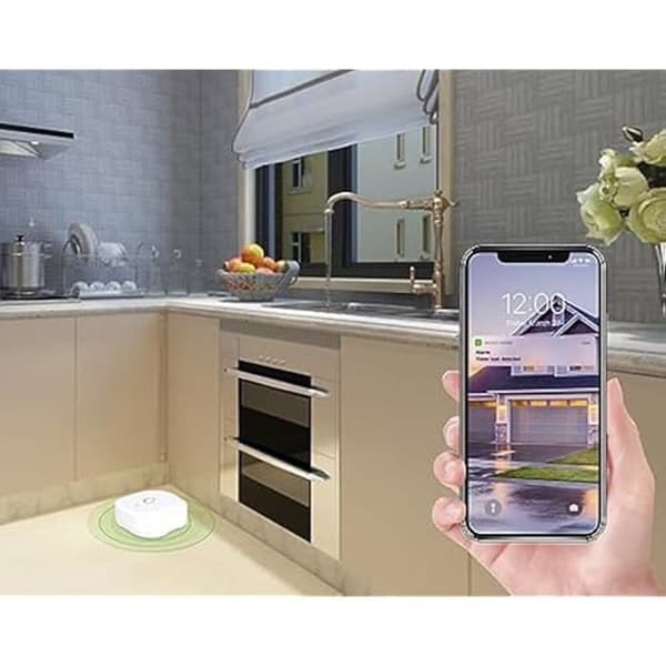 Vattenläckagedetektor - WOOX - R7050 - Trådlös detektering - Inomhus - IP67
