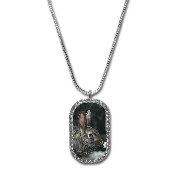 Djur Kanin Halsband