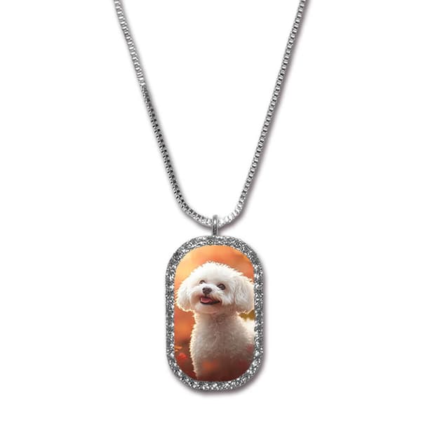 Hunde Bichon Frise Halskjede