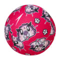 Pikkukuva 4 / 5: Speedo Learn To Swim Character Water Balls (Pack of 3)