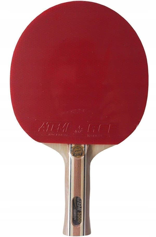 ATEMI PRO-line 3000 AN bordtennisketcher