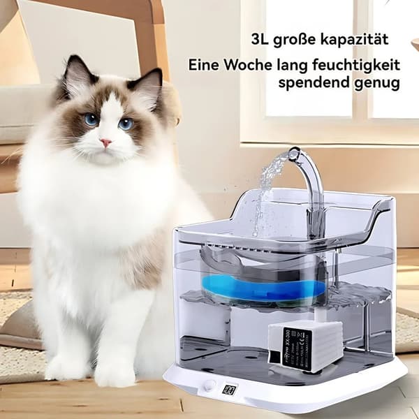Vandfontæne, Automatisk Dispenser, Rustfrit Stål Konstruktion