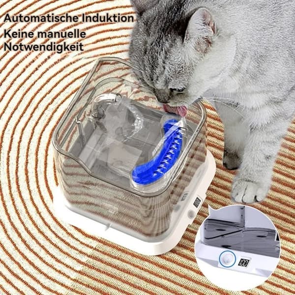 Vandfontæne, Automatisk Dispenser, Rustfrit Stål Konstruktion
