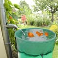Miniatyrbillede 6 af 8: OBOSOE 2 stk Rain Tank Net, 80 cm Rain Tank Cover med spændingsledning, Justerbart beskyttelsesnet, Beskyttelse mod blade, myg Egnet til gård
