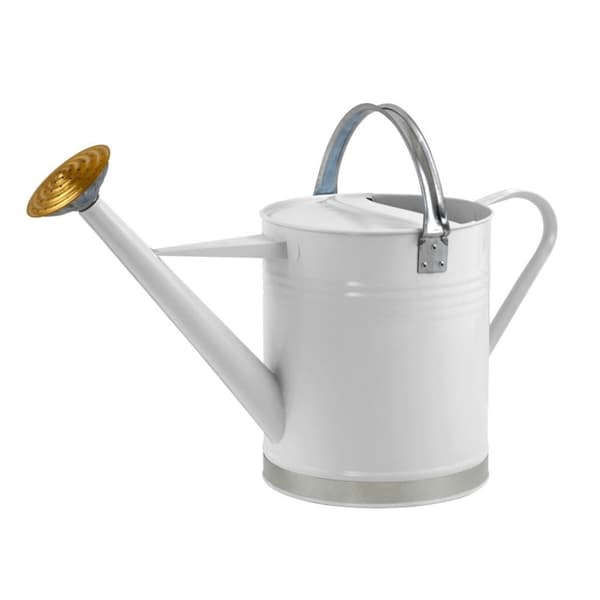 Ambassador Galvanised Watering Can