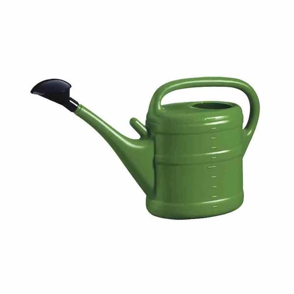 Green Wash Essential Vandkande