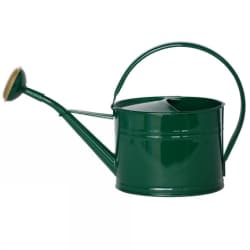 Vattenkanna Oval Med Stril Mörkgrön 1,7 L